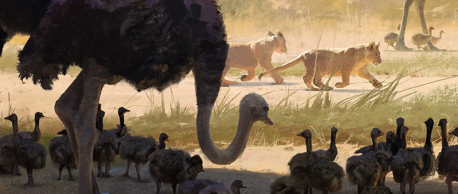 08_Ostrich_Grassland_birds_e.jpg