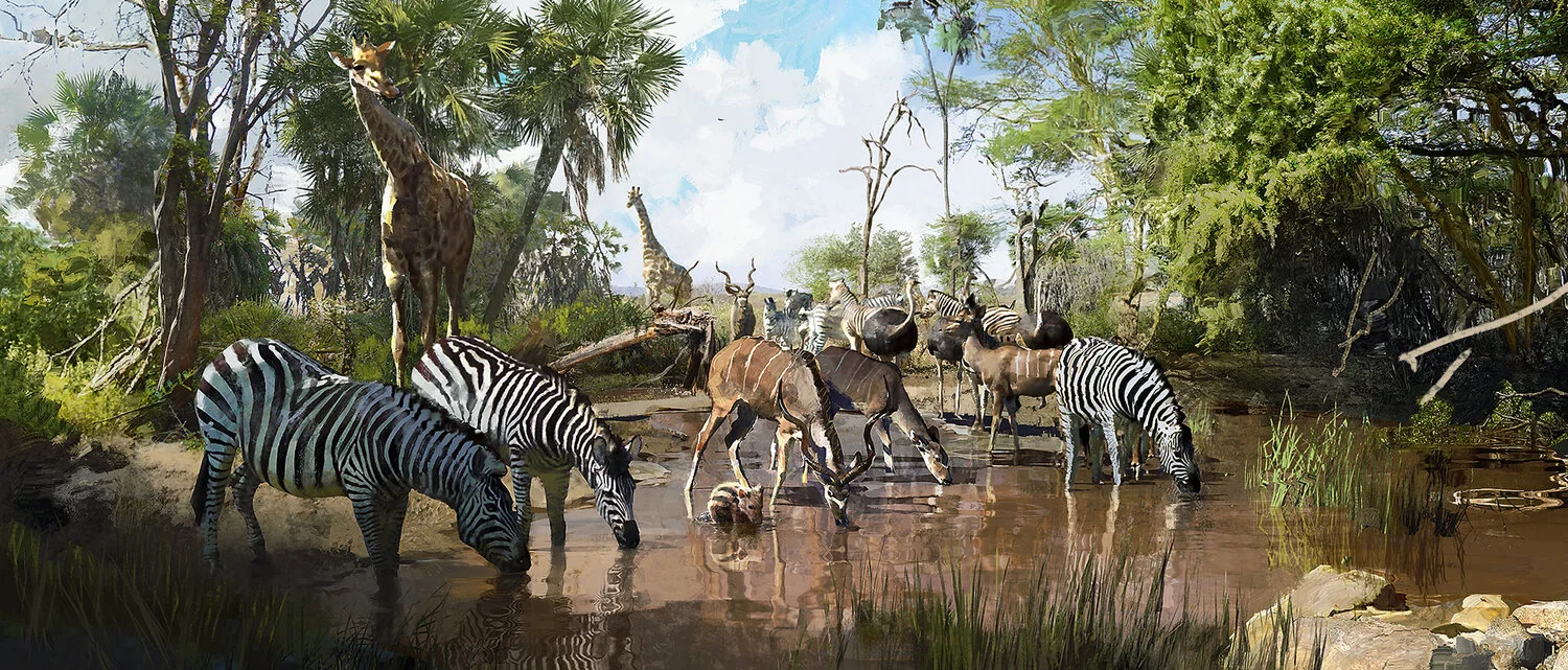 Env_0062_HakunaMatata_v003_WIP_BabyPumba_Wateringhole_171020_JZ copy.jpg