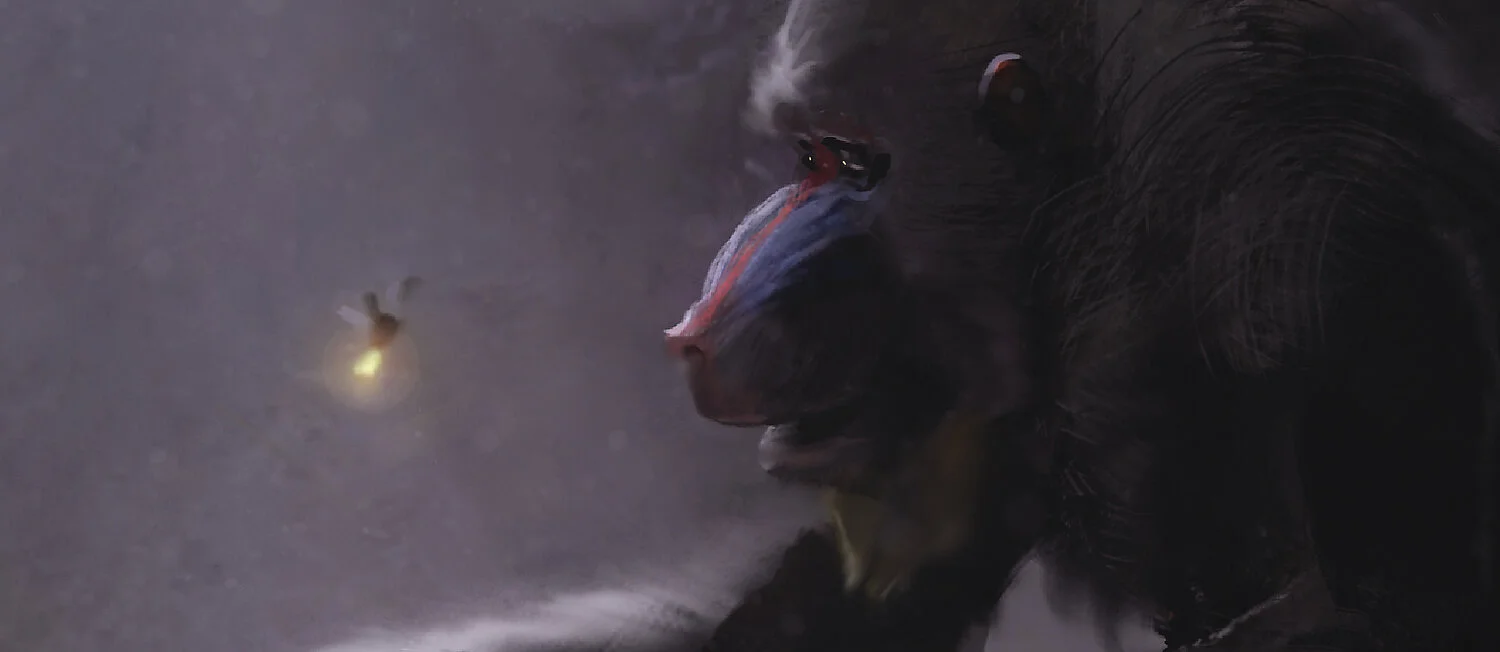 Rafiki_Firefly_Frame_01.jpg