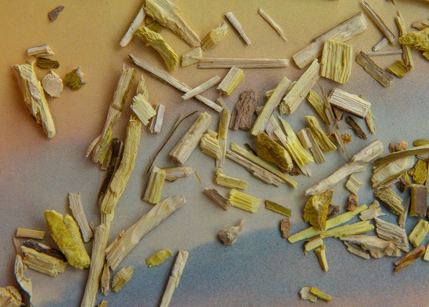 Cosmic_herbals__026.jpg