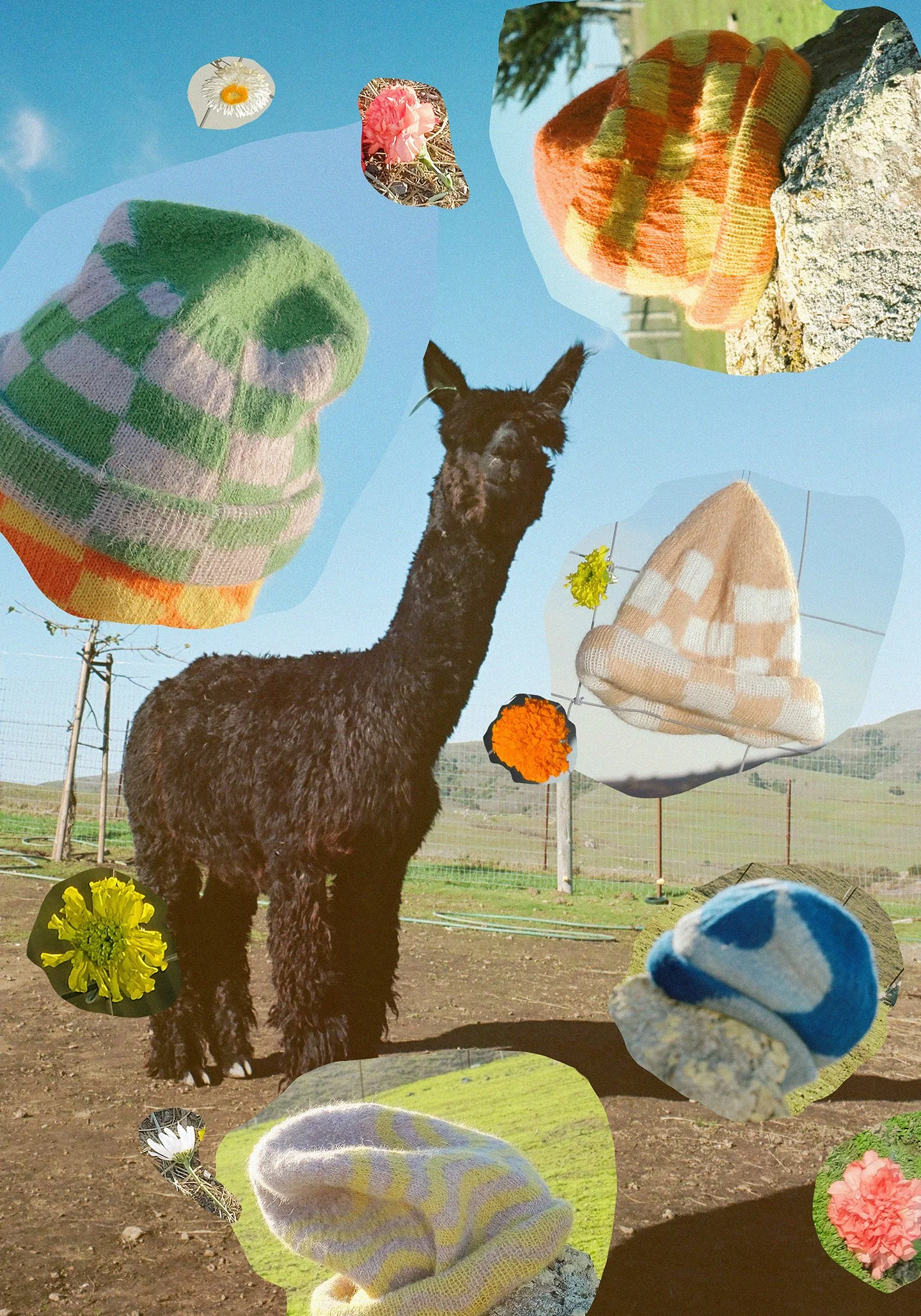 dune_tanz__001.jpg