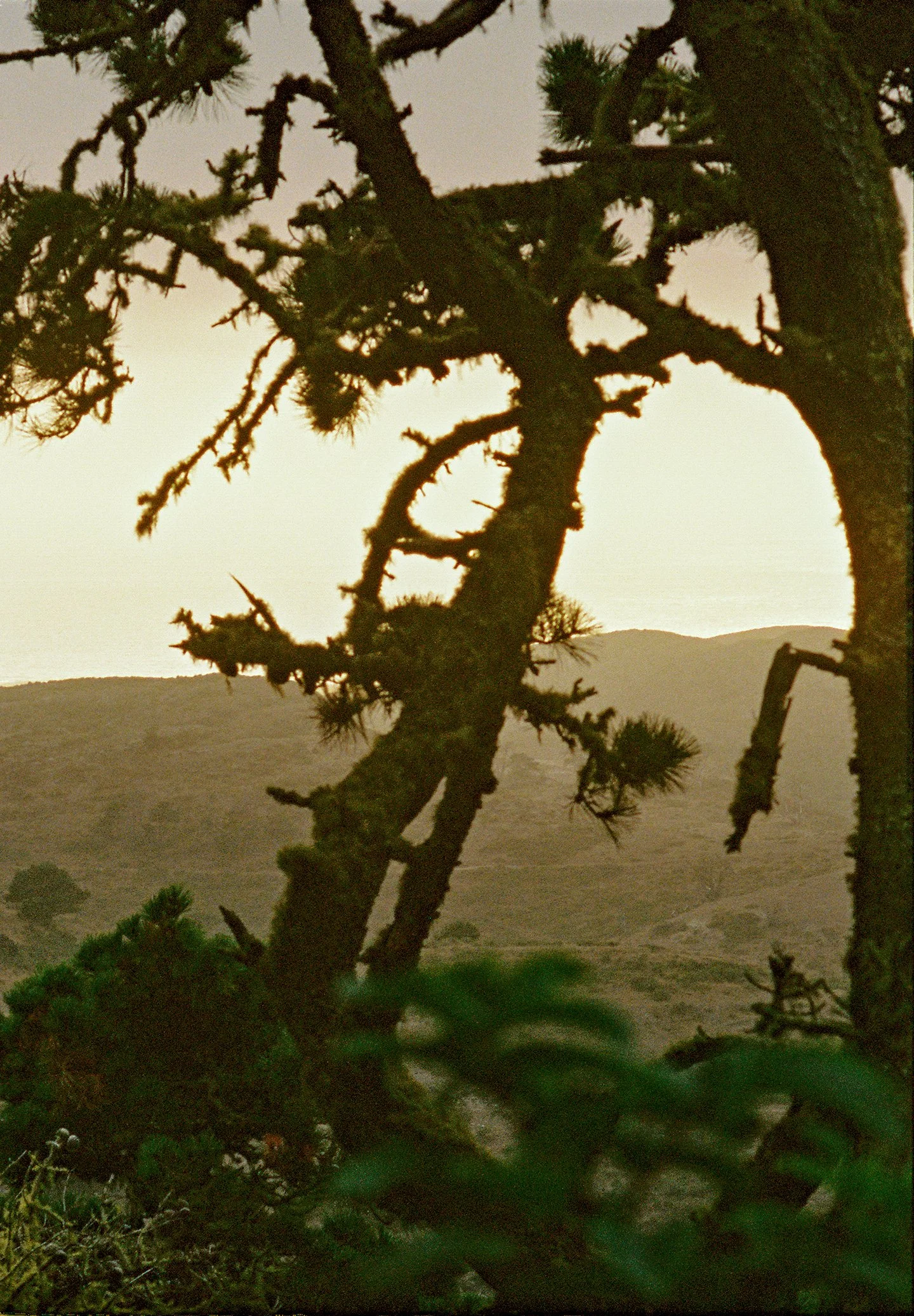 jr_009_northern_ca_coastal.jpg
