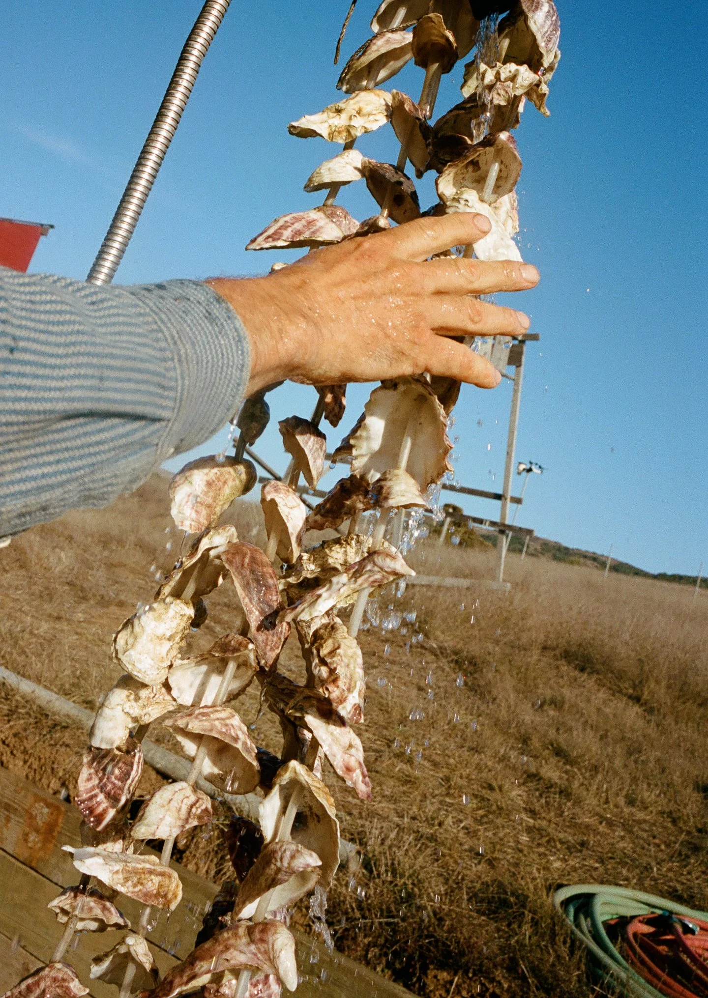 salt_works_proofs_film_025.jpg