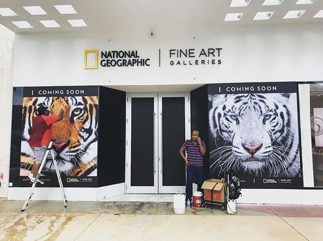 Main sign installed. Coming soon signs are up. National Geographic Fine Art Miami Beach gallery opens in 1 month. So close. #natgeofineart
