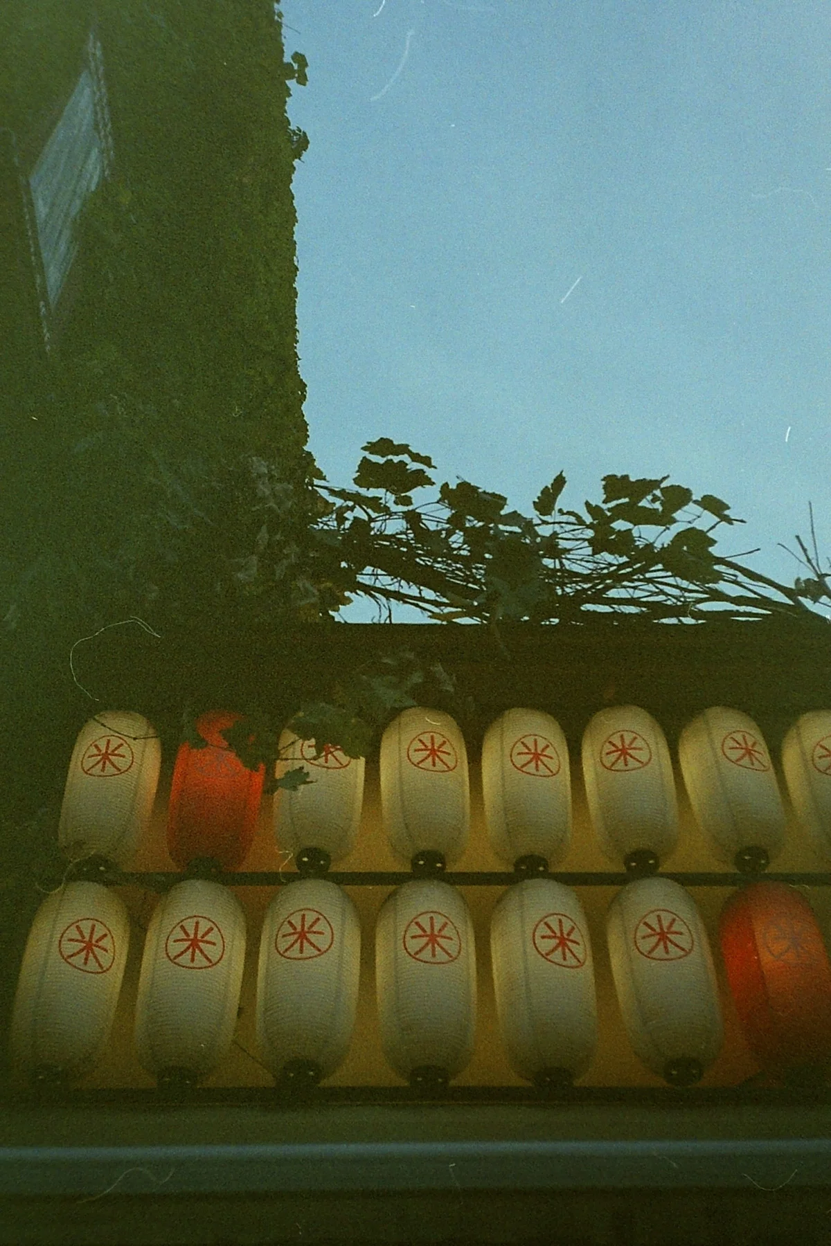 PICT0092.jpg