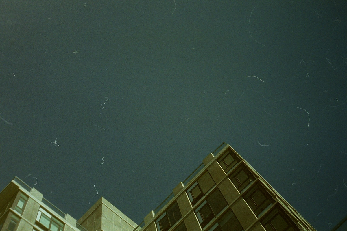 PICT0055.jpg
