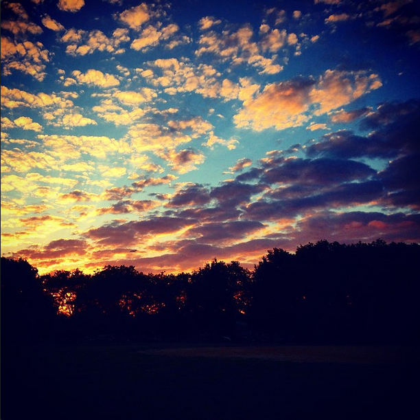 " There is so much joy in remembering to look up." | Photo: Katie McKenna