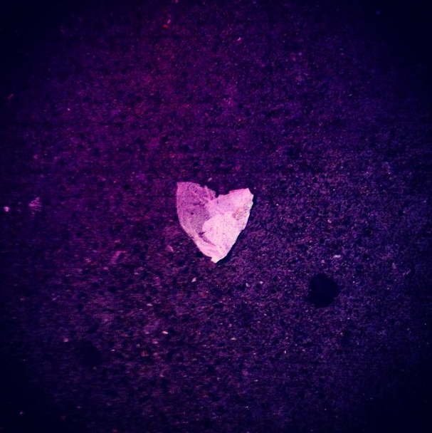 Photo: Katie McKenna