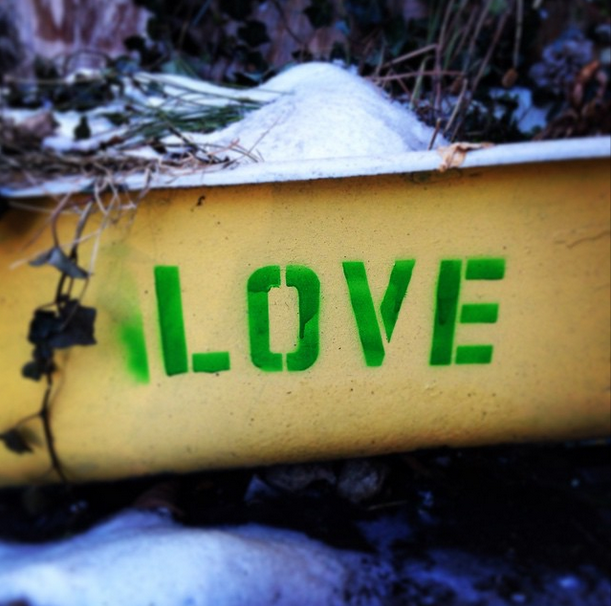 Photo: Katie McKenna