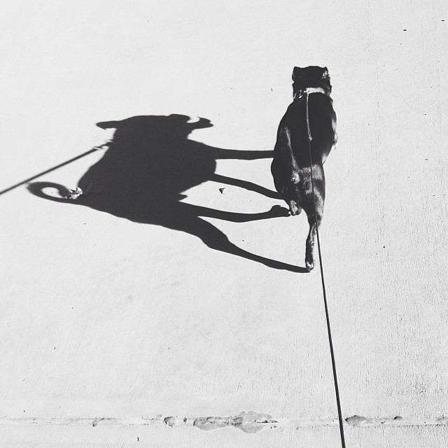 Photo: Michelle Waters