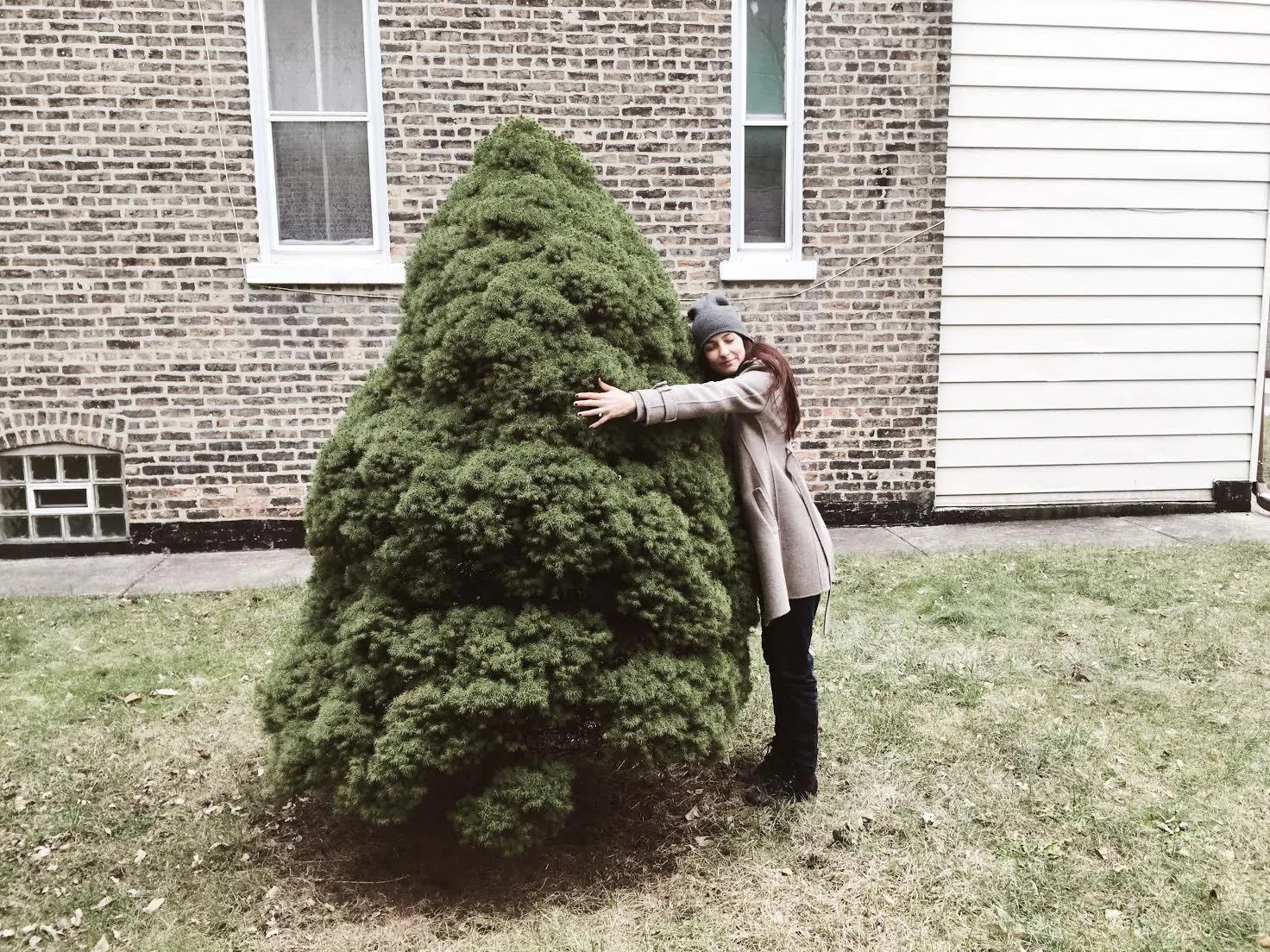 "Now you know my love for trees. @mysocalledtreelife is another account I post to when I come across a tree I love." | Photo: Eva Deitch