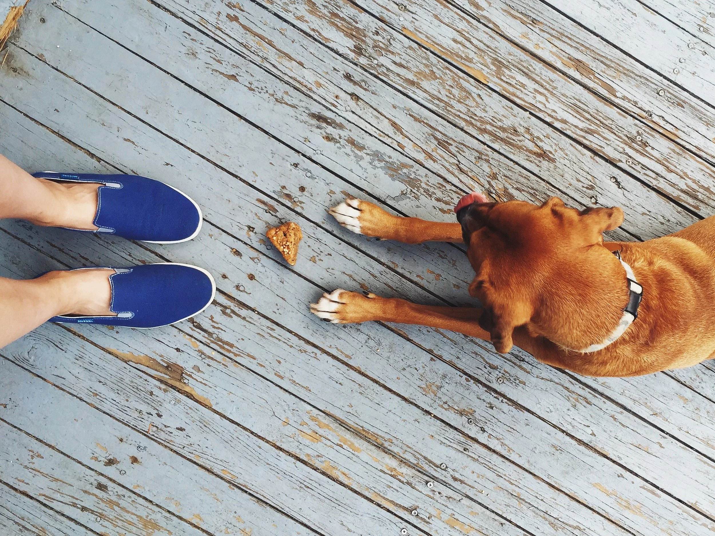 "Occasionally it works out that I'm able to walk my friend Jourdan's dog before I go to work. He’s so photogenic and his patience for treats is unparalleled."
