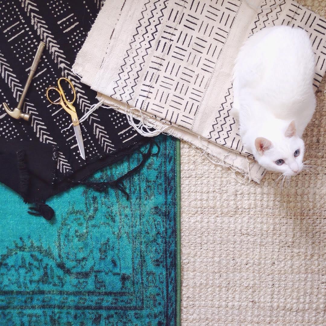 Saturday morning DIY project with my cat, Kisses.