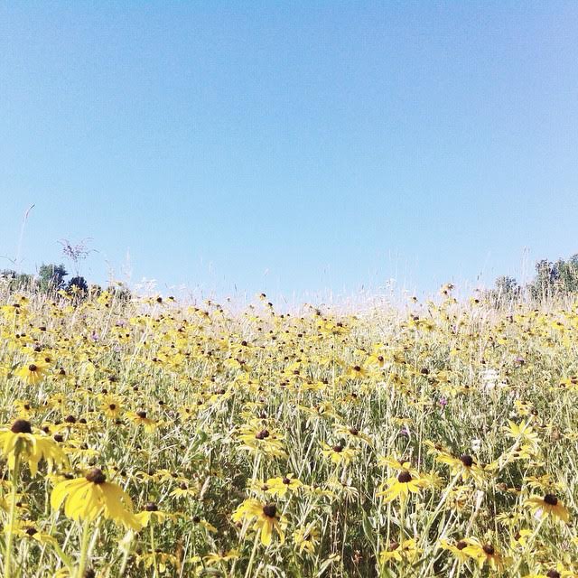 My true happy place.