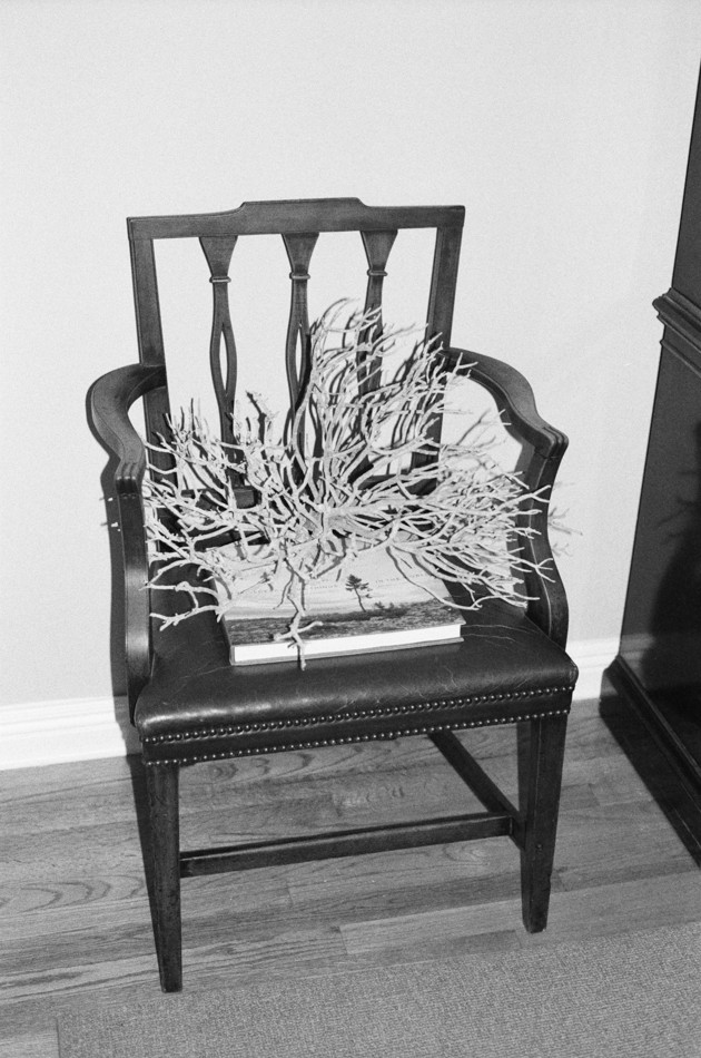 This image from our dining room features manzanita branches. Manzanita is often purely decorative but can also be used as a bioremediative dye source. I have kept these branches as a reminder of the 'tumbleweed spirit’ from my Tumbleweed Colony installation at the Wythe Hotel in May 2015.