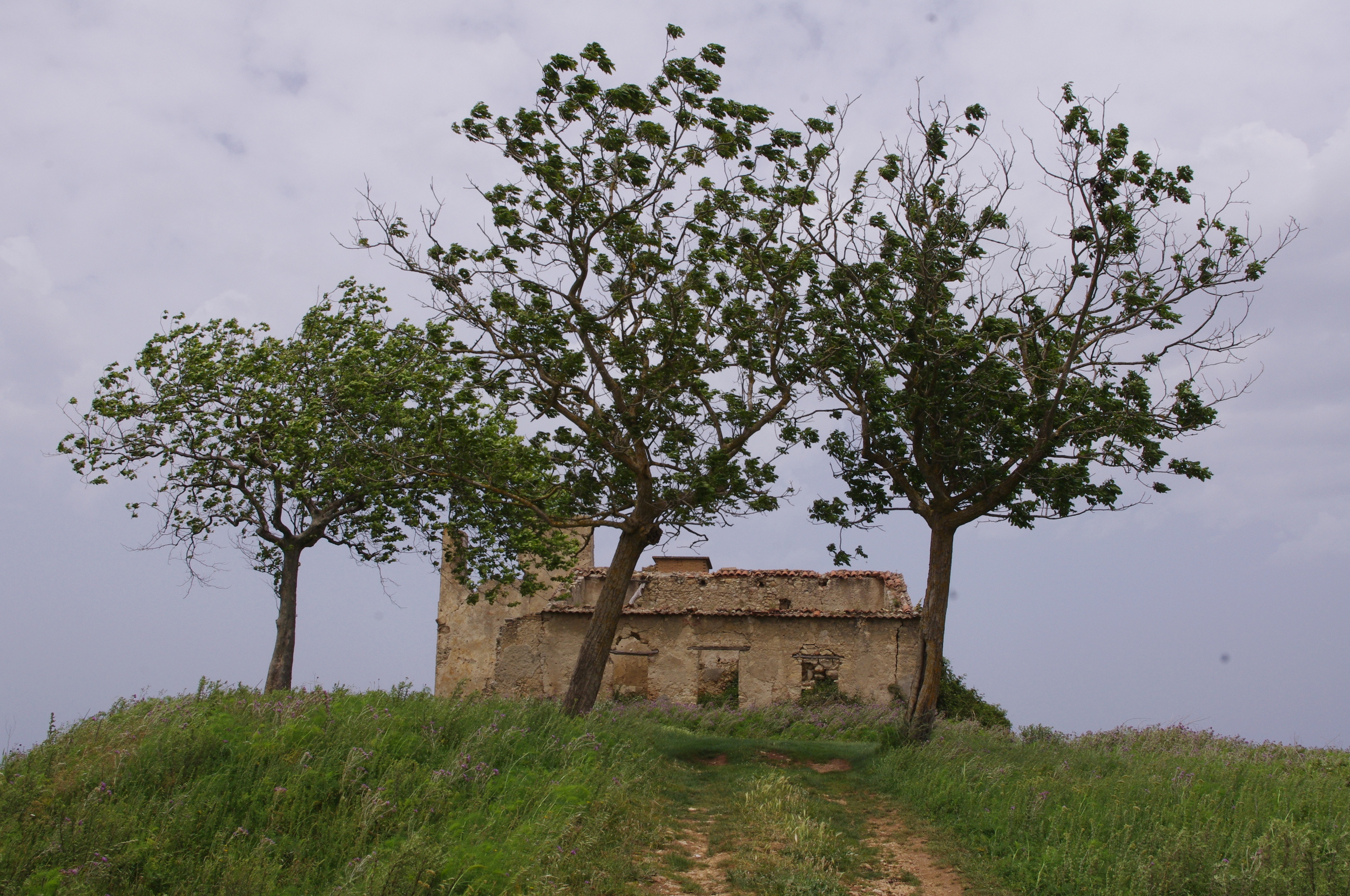 Countryside in Calabria