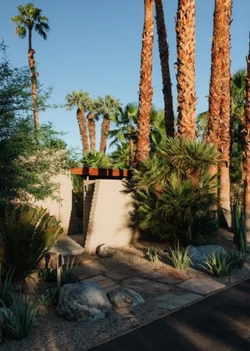 Sand Dune Facade