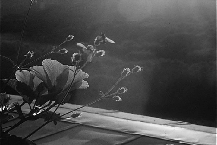 "Complex" 16mm (2007)