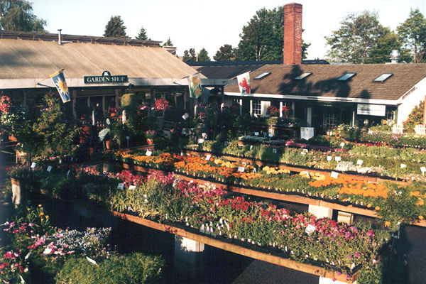   Courtyard, early 1990s  