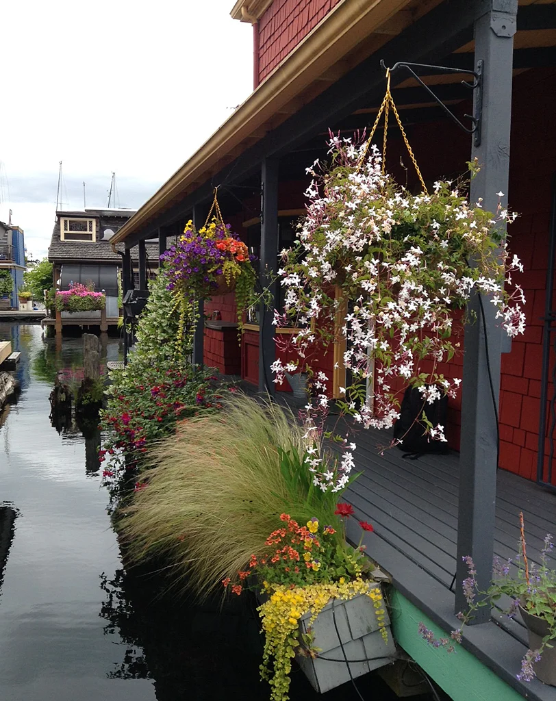 Beautifying Seattle, One Pot at a Time