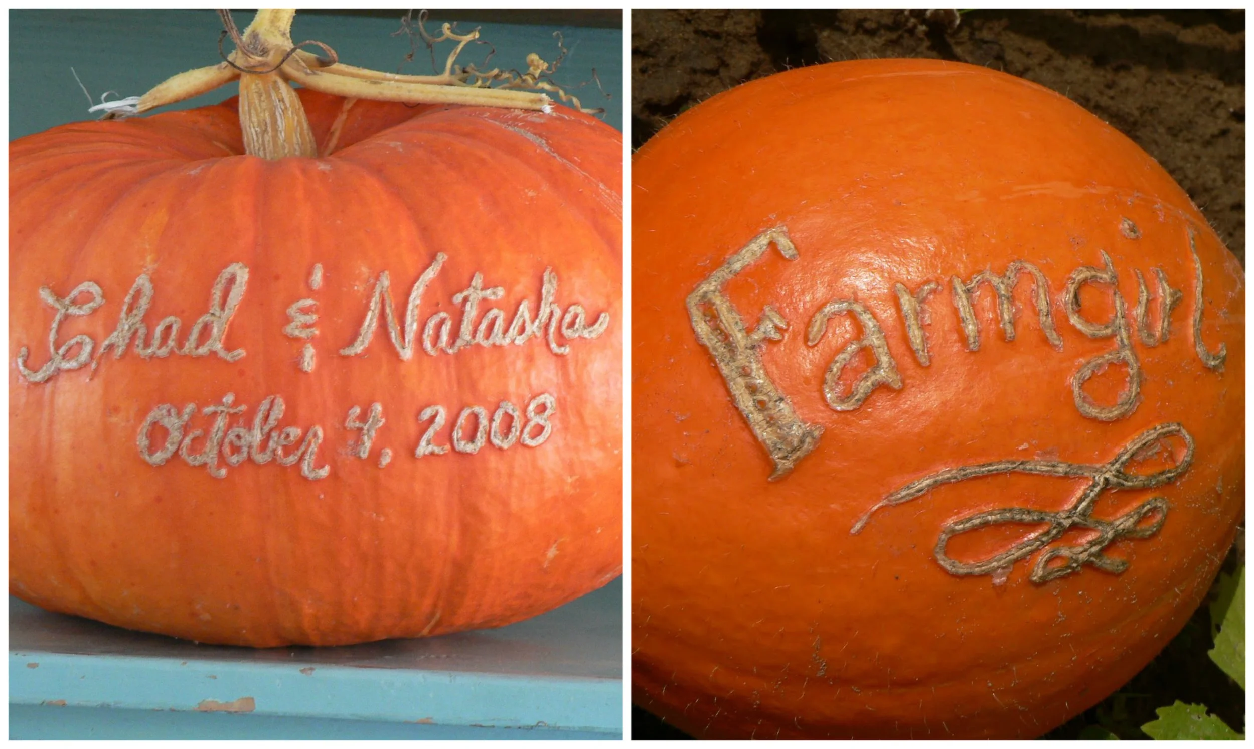 Why We Garden Reason # 86: To Carve Our Names into the Fabric of the Universe