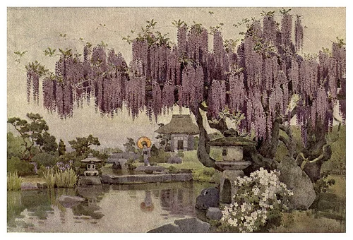 Promoting Wisteria Bloom: Part 1