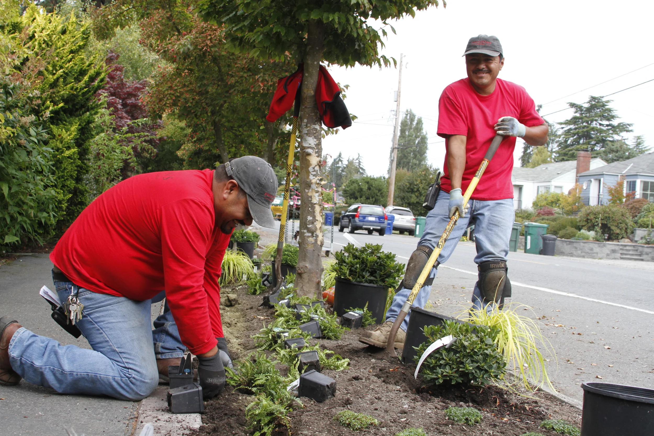 Planting a Parking Strip Garden