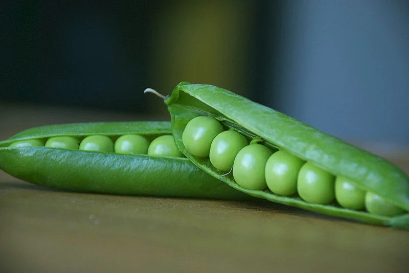 How To Grow Peas