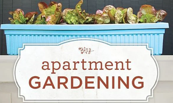 Book Review: Apartment Gardening by Amy Pennington