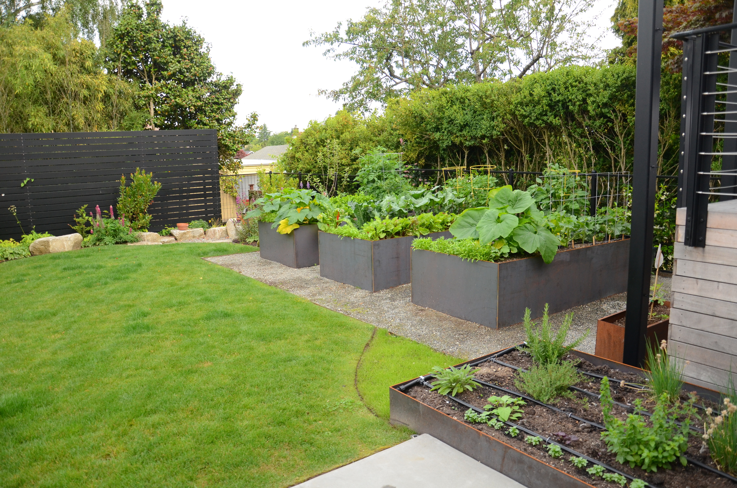 A garden with dedicated spaces for annual vegetables, perennial herbs, and ornamentals