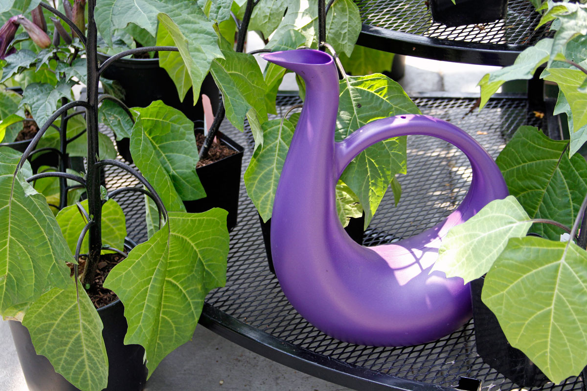 11. Cool Watering Cans