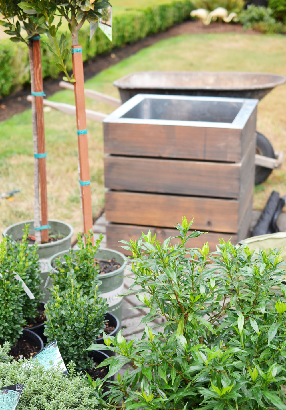 Hedin-pots-5.jpg