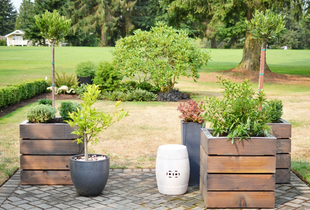 Modern, Monochromatic Patio Planters With Alexandra Hedin