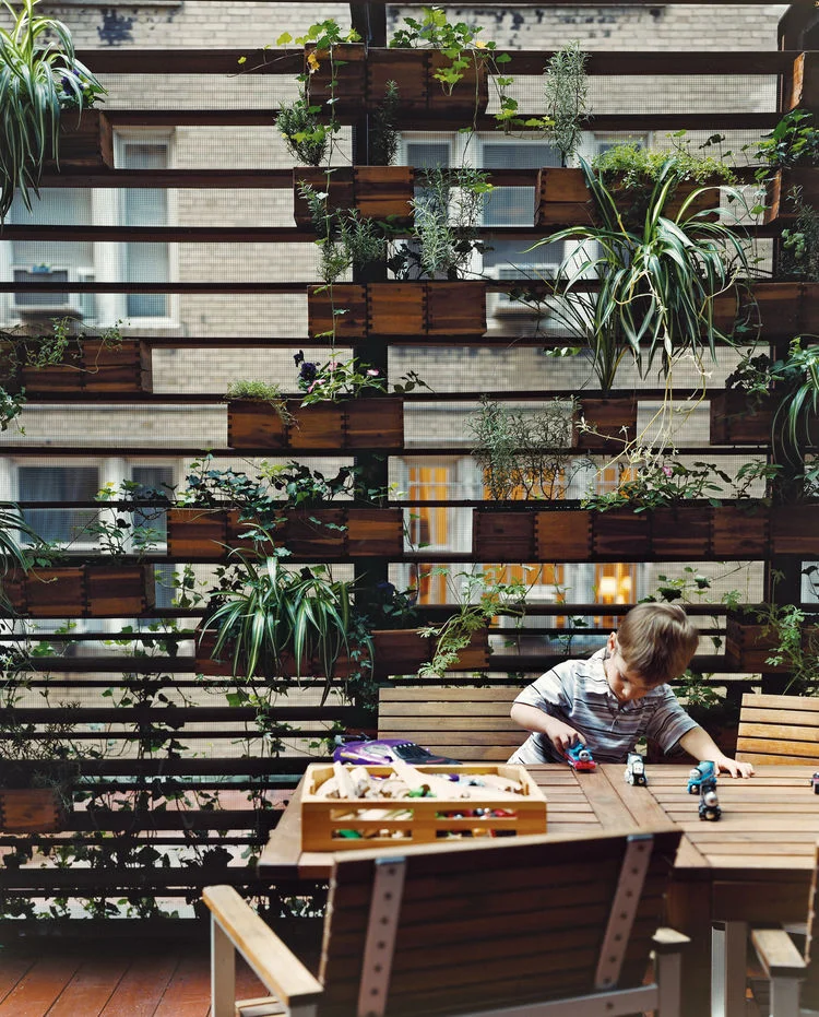 Designing With Indoor Plants