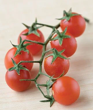 Red Currant.jpg