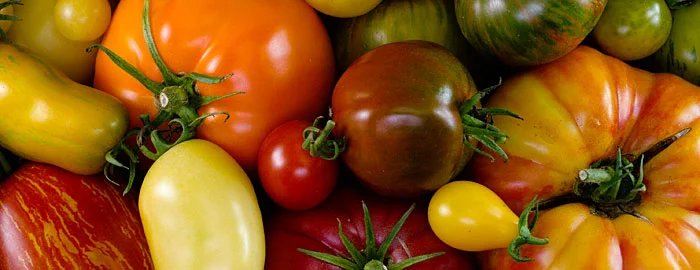 5 Top Tomatoes