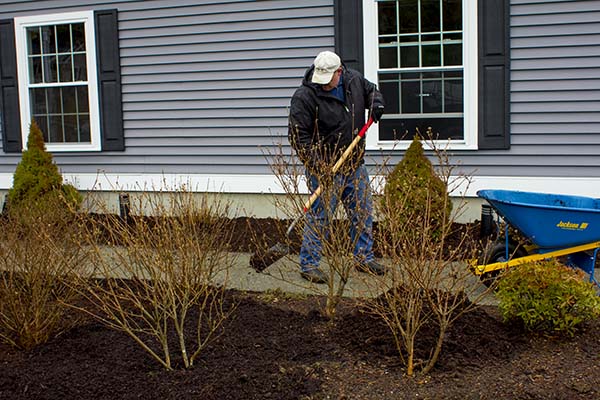 Laying mulch in shrub beds. credit: homeconstructionimprovement.com