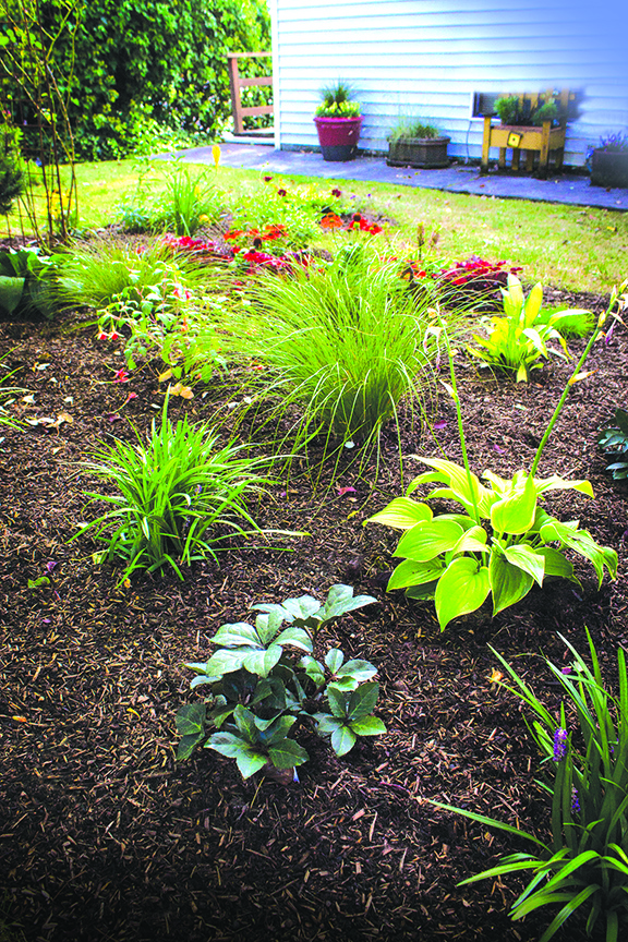 Image of Plastic mulch for landscaping