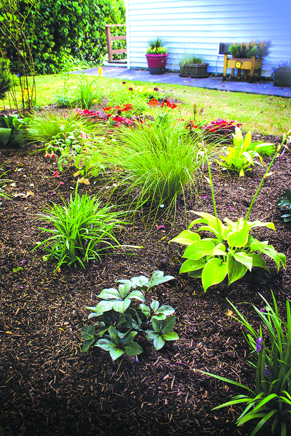 Mulch We Have So To Talk About, How To Keep Birds Out Of Garden Mulch