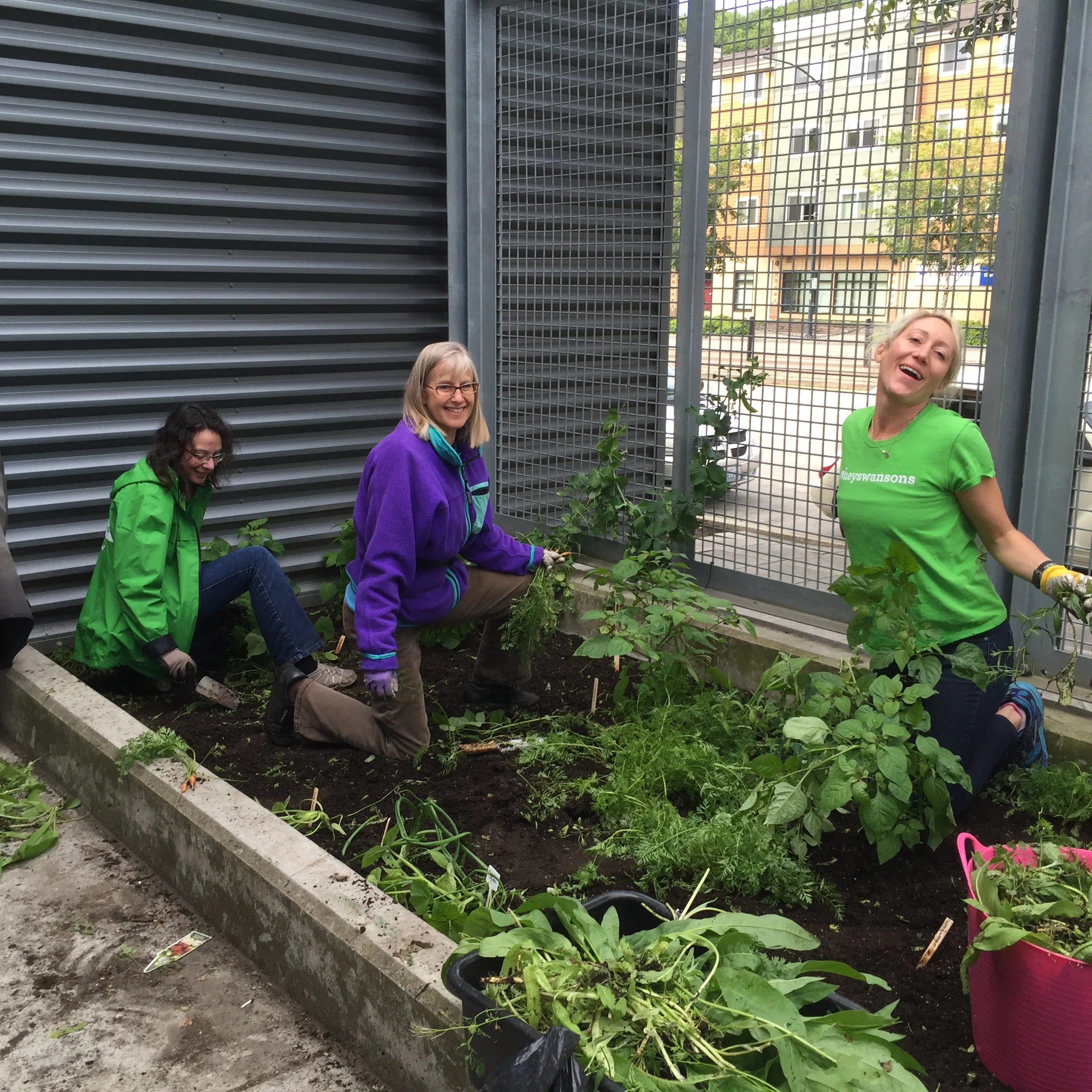 Photo Jun 25, 10 15 17 AM.jpg