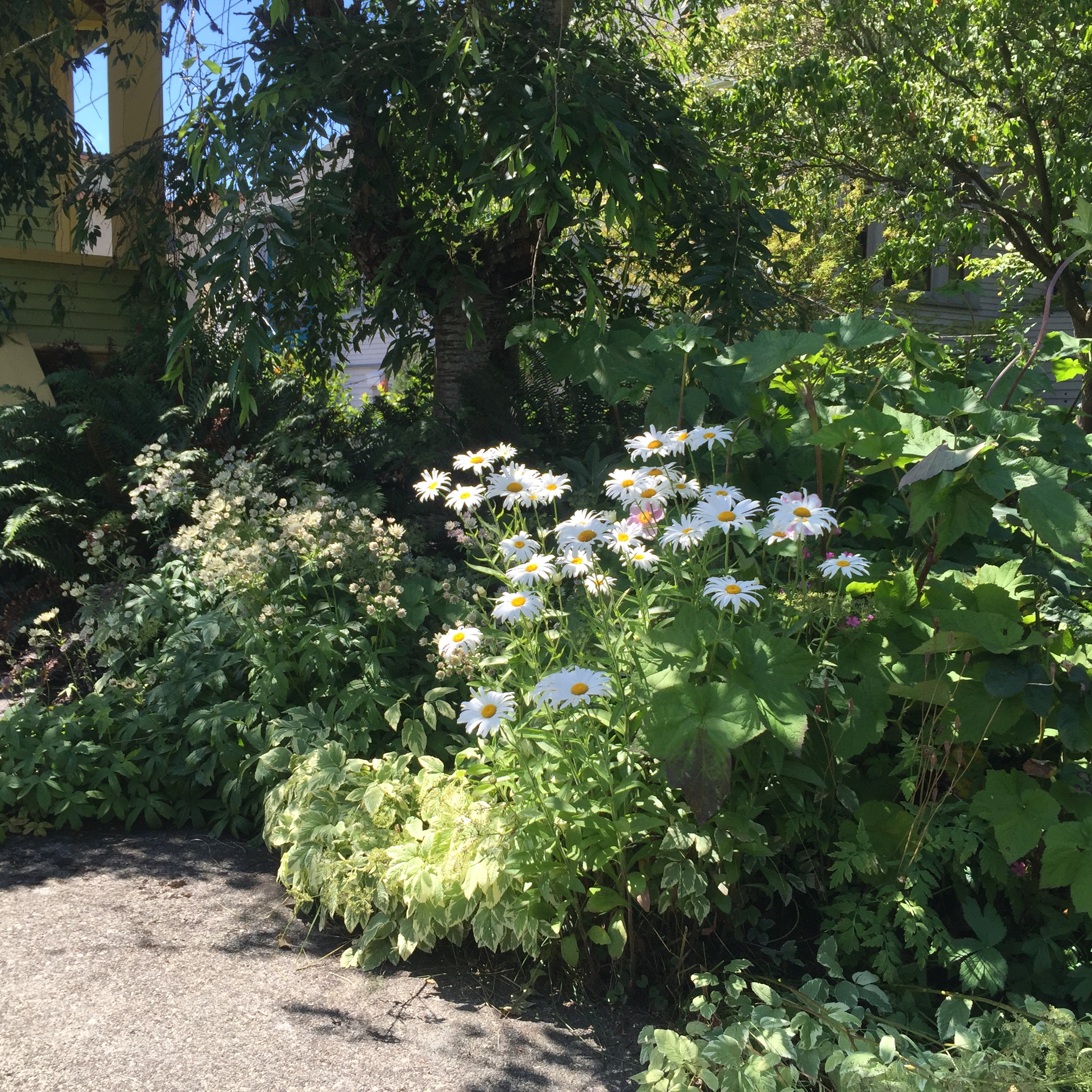Garden6Neighbors.jpg