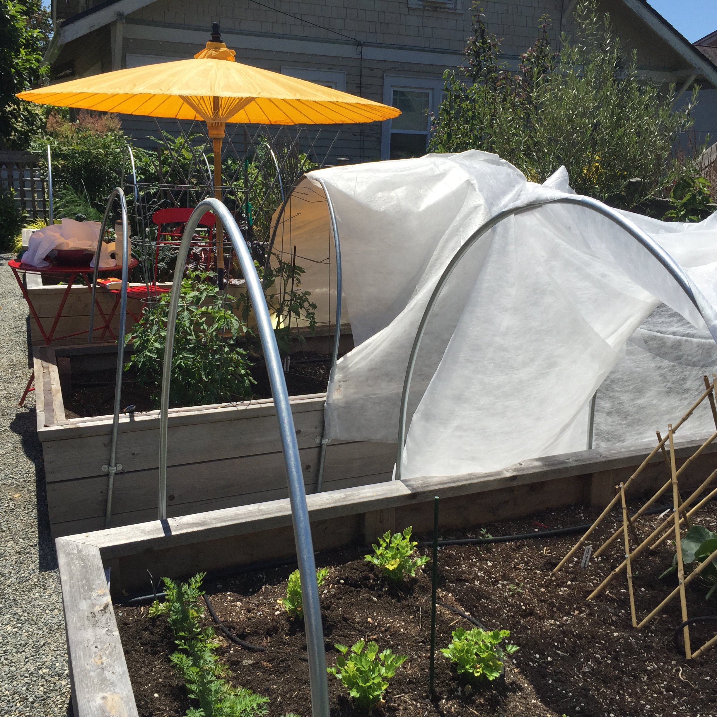 Garden7 (9).jpg