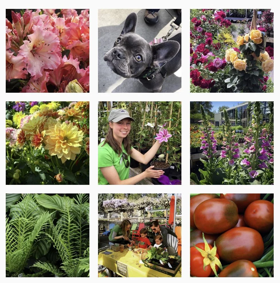 2016 Was an Eventful Year at Swansons!