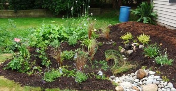 Rain Garden Photo: esw.org