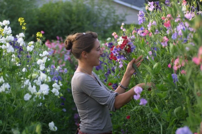 Cutting Garden with Sweet Peas Photo: floretflowers.com