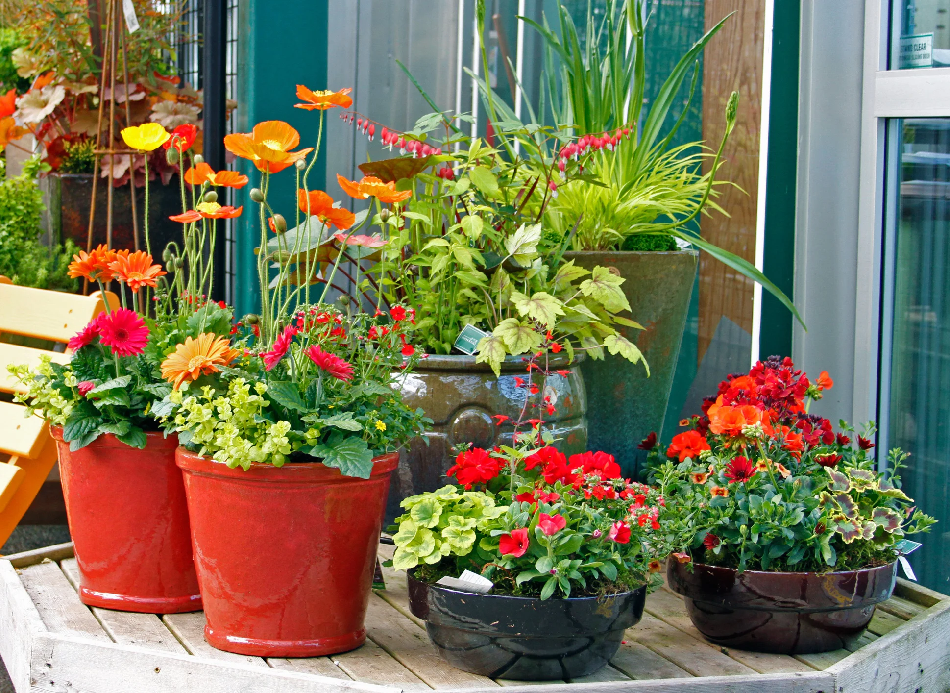 mixedcontainers.jpg