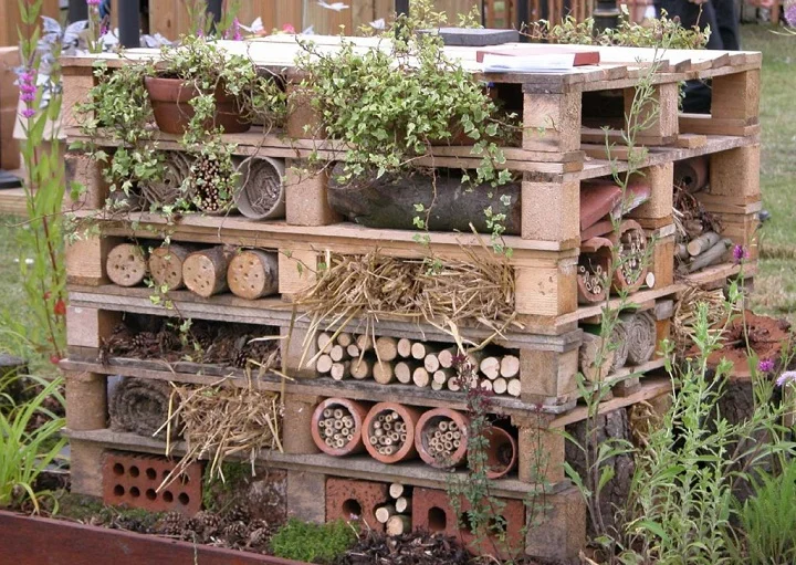 An all-inclusive insect resort