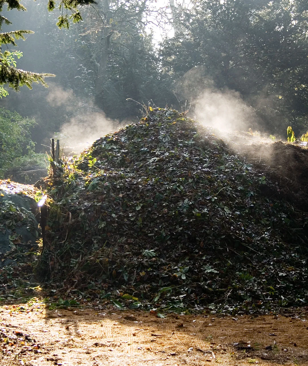 Compost heap
