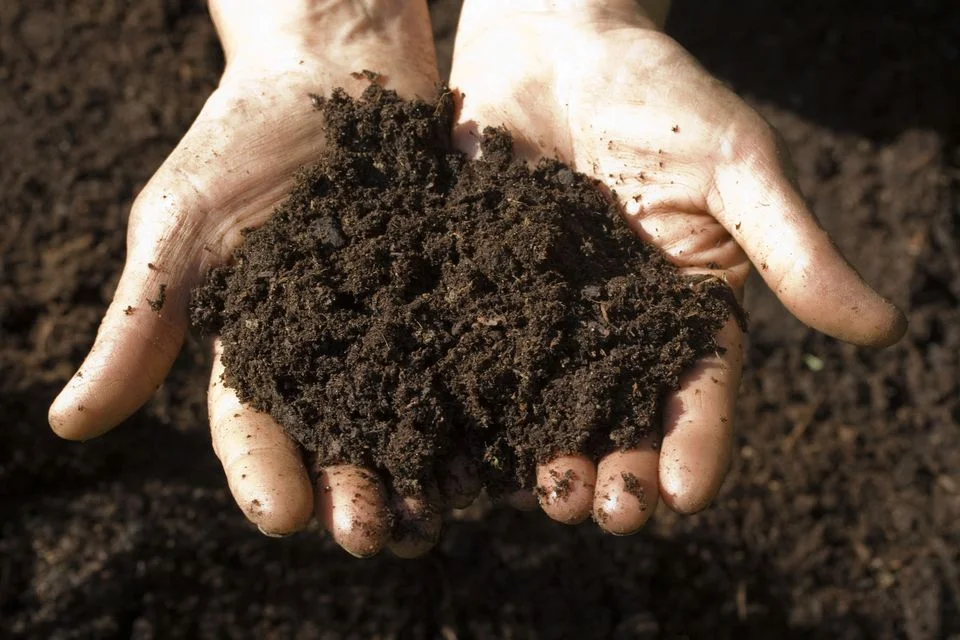 The Root Of Everything Soils, Amendments, and Mulches — Seattle's Favorite Garden Store Since