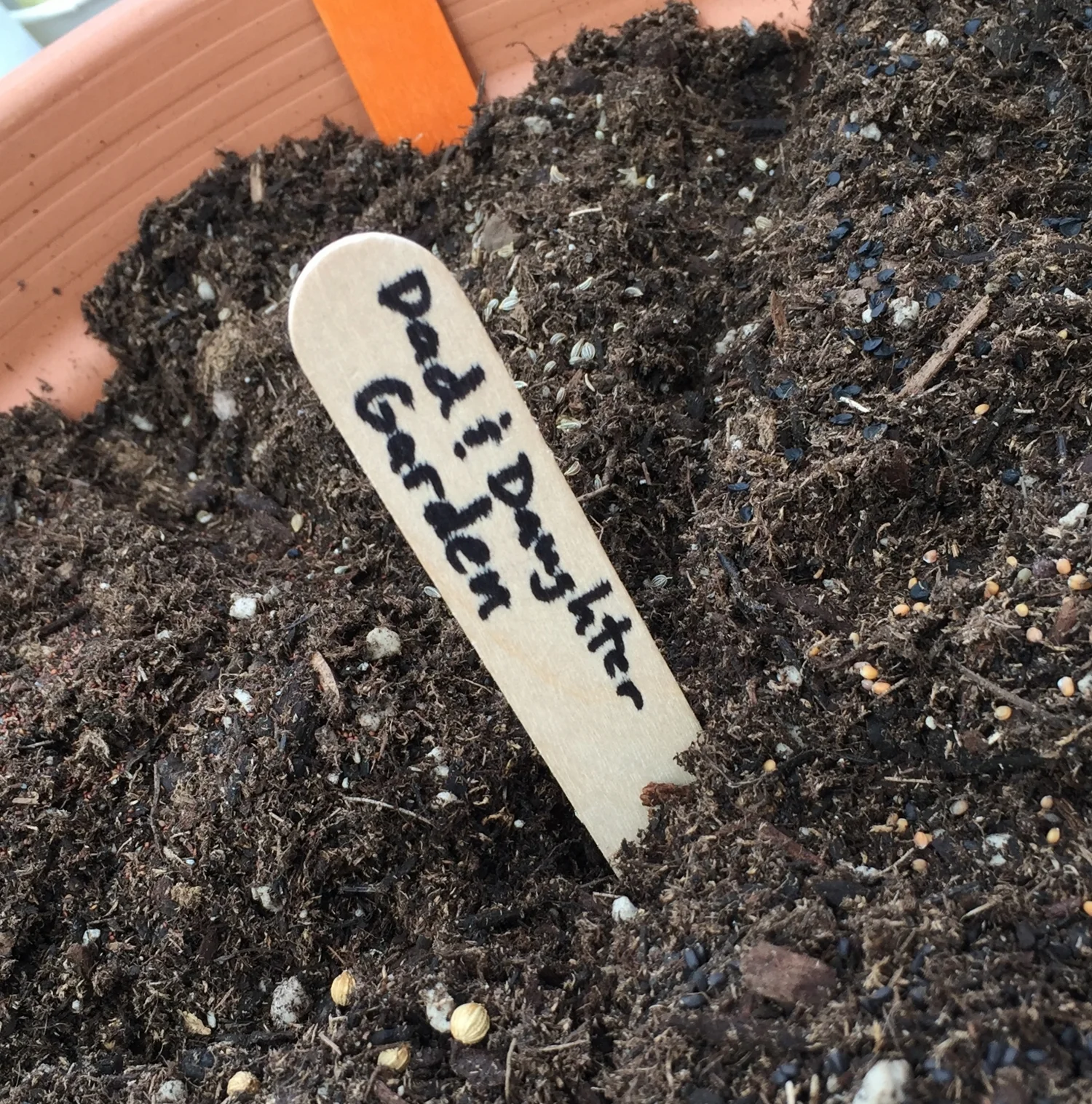 Make Your Own "Pizza" Herb Garden — Seattle's Favorite Garden Store